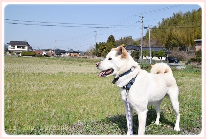 f:id:yasukazu01:20150321205146j:image f:id:yasukazu01:20150321205146j:image