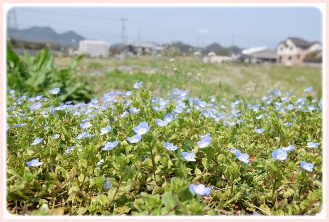 f:id:yasukazu01:20150321205816j:image f:id:yasukazu01:20150321205816j:image