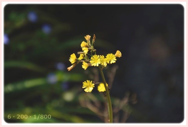 f:id:yasukazu01:20150321210000j:image f:id:yasukazu01:20150321210000j:image