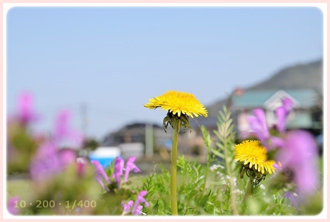 f:id:yasukazu01:20150321210504j:image f:id:yasukazu01:20150321210504j:image