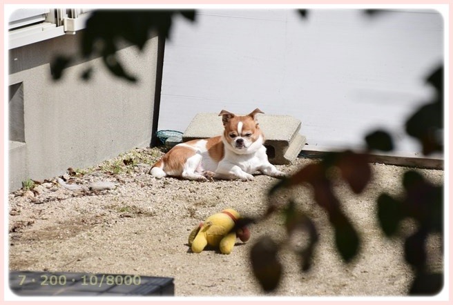 f:id:yasukazu01:20150321210748j:image f:id:yasukazu01:20150321210748j:image