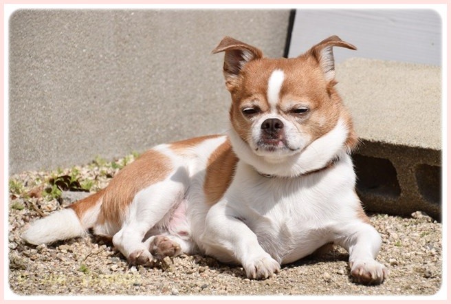 f:id:yasukazu01:20150321210849j:image f:id:yasukazu01:20150321210849j:image