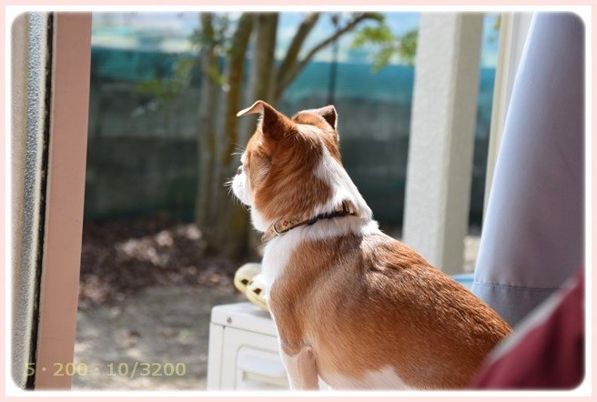 f:id:yasukazu01:20150321211343j:image f:id:yasukazu01:20150321211343j:image