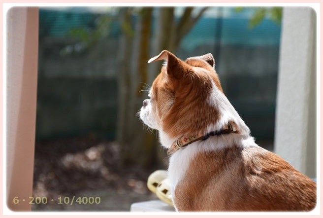 f:id:yasukazu01:20150321211411j:image f:id:yasukazu01:20150321211411j:image