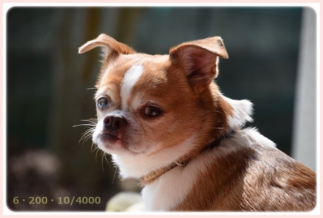 f:id:yasukazu01:20150321211607j:image f:id:yasukazu01:20150321211607j:image