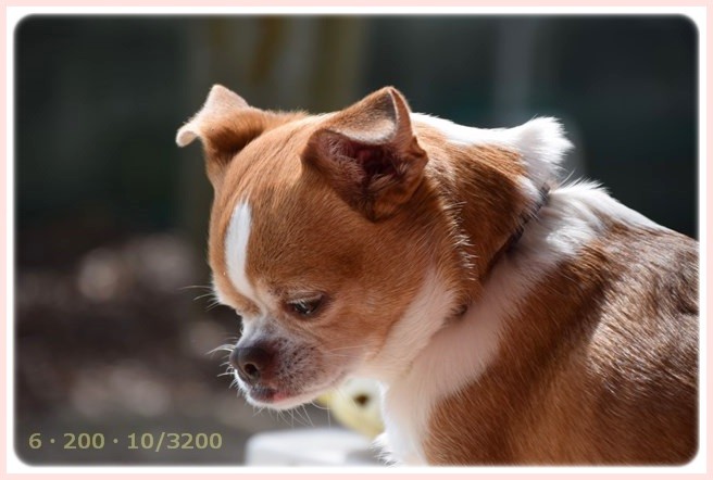 f:id:yasukazu01:20150321211707j:image f:id:yasukazu01:20150321211707j:image