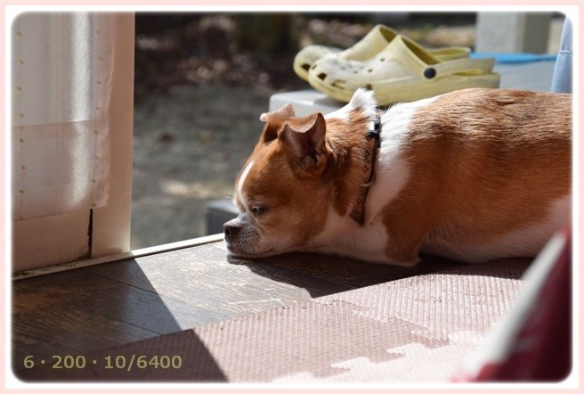 f:id:yasukazu01:20150321211744j:image f:id:yasukazu01:20150321211744j:image