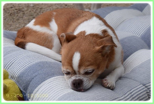 f:id:yasukazu01:20150330224357j:image