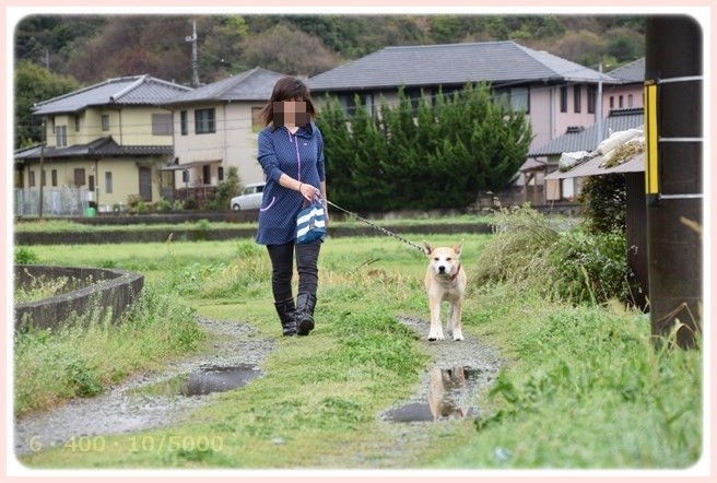 f:id:yasukazu01:20150407201236j:image
