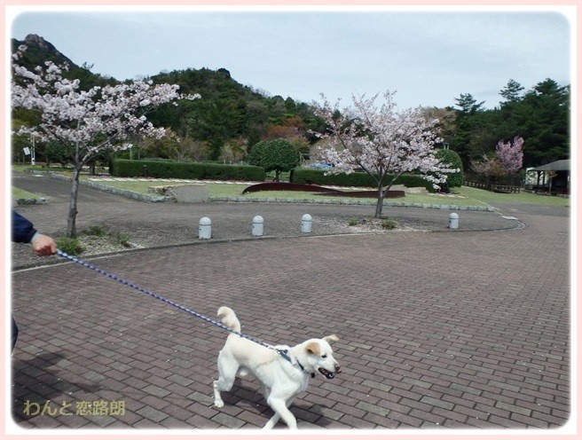 f:id:yasukazu01:20150408223531j:image f:id:yasukazu01:20150408223531j:image