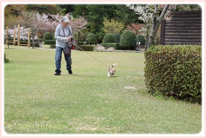 f:id:yasukazu01:20150408224209j:image f:id:yasukazu01:20150408224209j:image