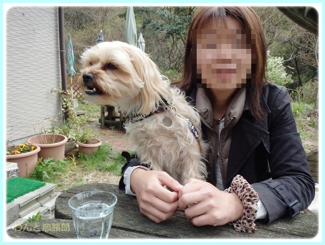 f:id:yasukazu01:20150414201053j:image