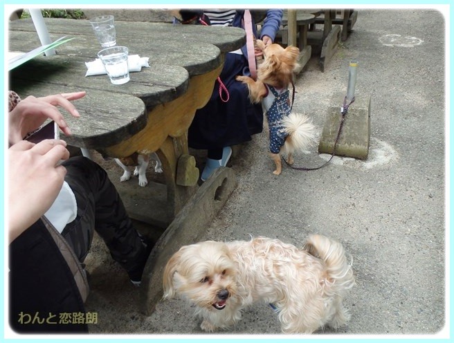 f:id:yasukazu01:20150414201246j:image