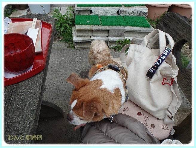 f:id:yasukazu01:20150414201820j:image