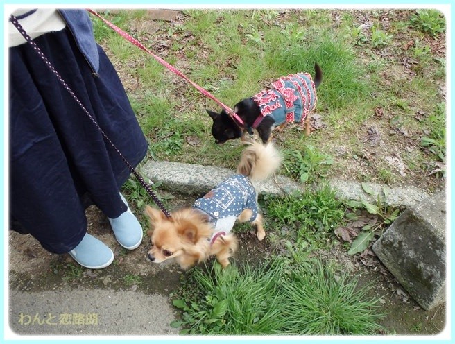 f:id:yasukazu01:20150414202048j:image