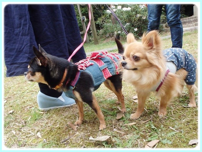 f:id:yasukazu01:20150416224802j:image