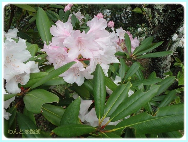 f:id:yasukazu01:20150416224838j:image