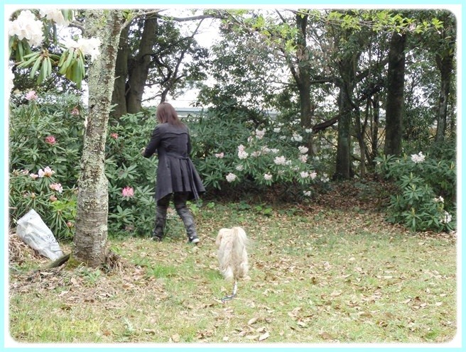 f:id:yasukazu01:20150416224931j:image