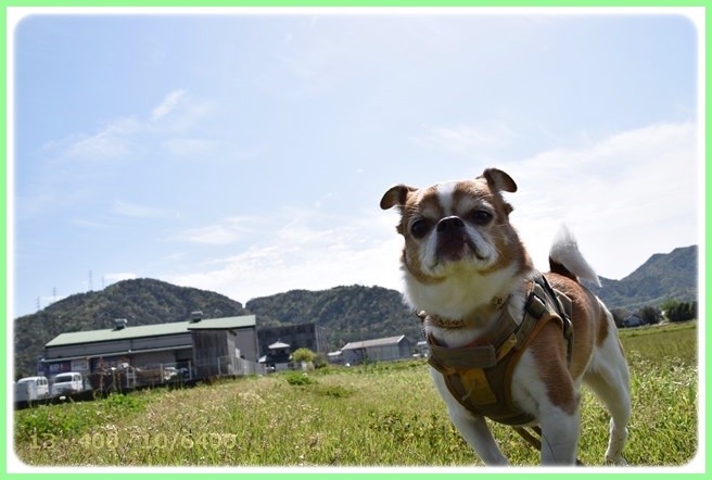 f:id:yasukazu01:20150421204018j:image