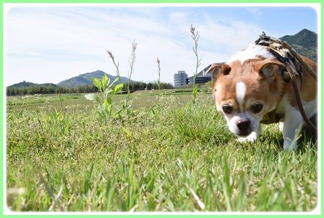 f:id:yasukazu01:20150421204650j:image