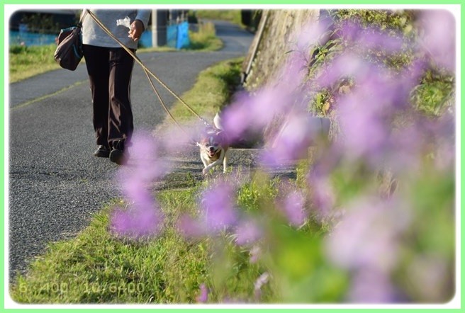 f:id:yasukazu01:20150423224226j:image f:id:yasukazu01:20150423224226j:image