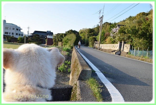 f:id:yasukazu01:20150423224314j:image f:id:yasukazu01:20150423224314j:image