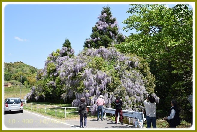 f:id:yasukazu01:20150501204100j:image
