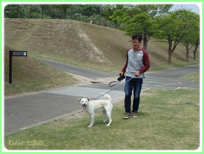 f:id:yasukazu01:20150502222425j:image