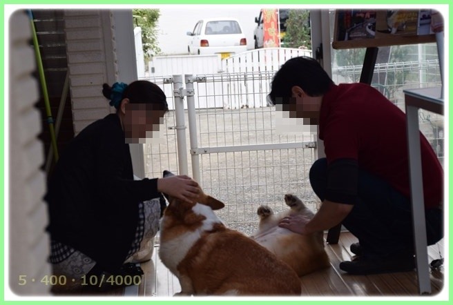 f:id:yasukazu01:20150529215756j:image