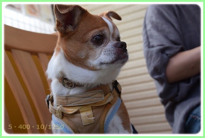f:id:yasukazu01:20150529215757j:image