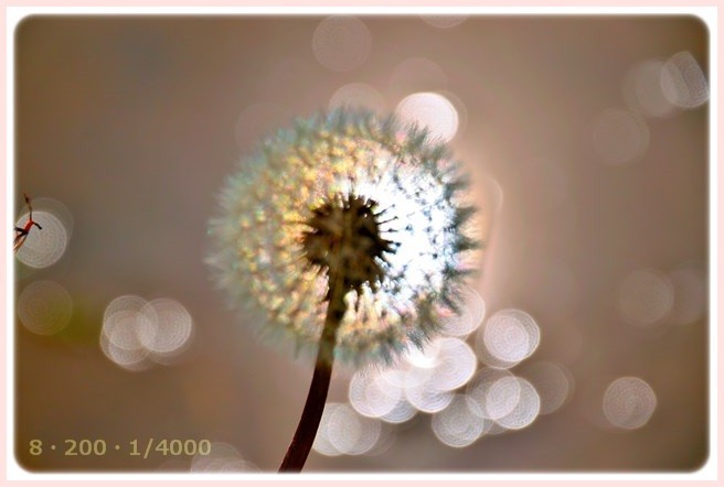 f:id:yasukazu01:20150609224502j:image f:id:yasukazu01:20150609224502j:image