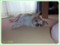 20150709205220
