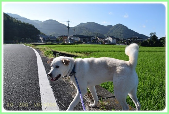 20150715204239
