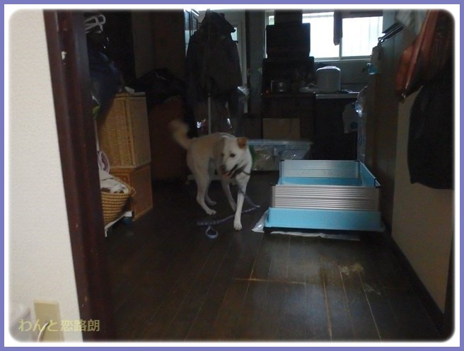 f:id:yasukazu01:20150830195745j:image