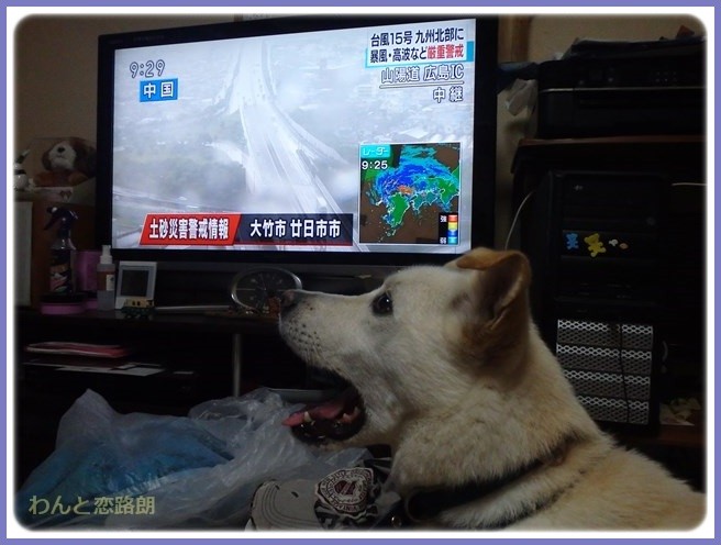 f:id:yasukazu01:20150830200154j:image