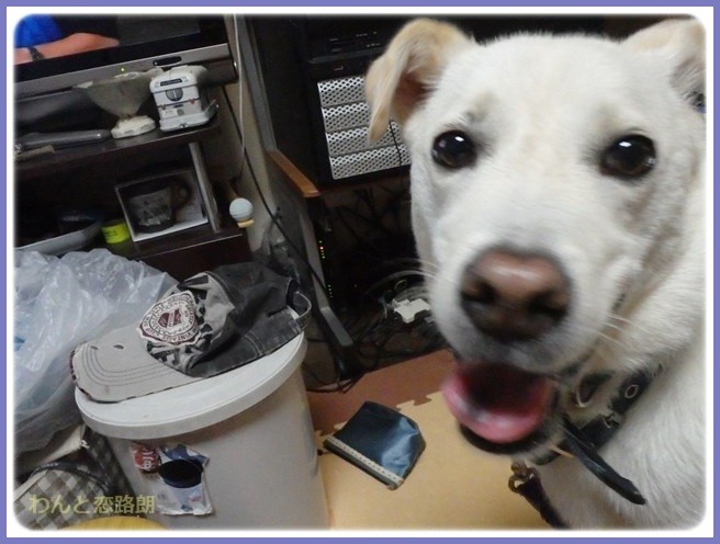 f:id:yasukazu01:20150830200253j:image