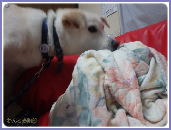 f:id:yasukazu01:20150830200501j:image