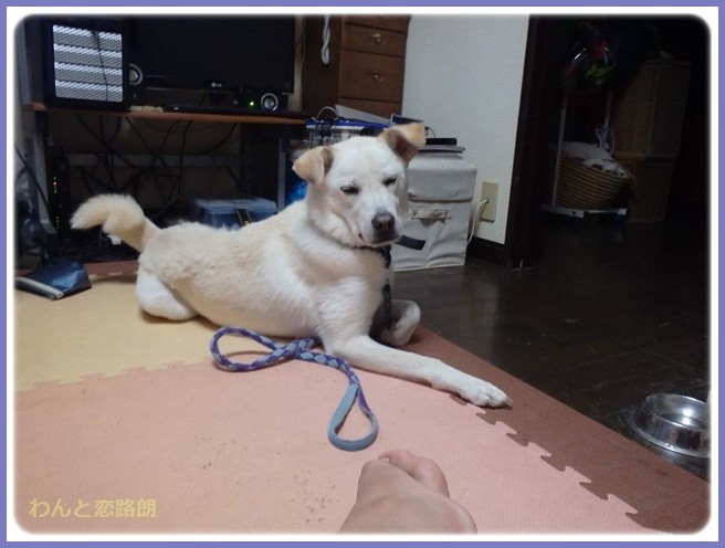 f:id:yasukazu01:20150830200654j:image