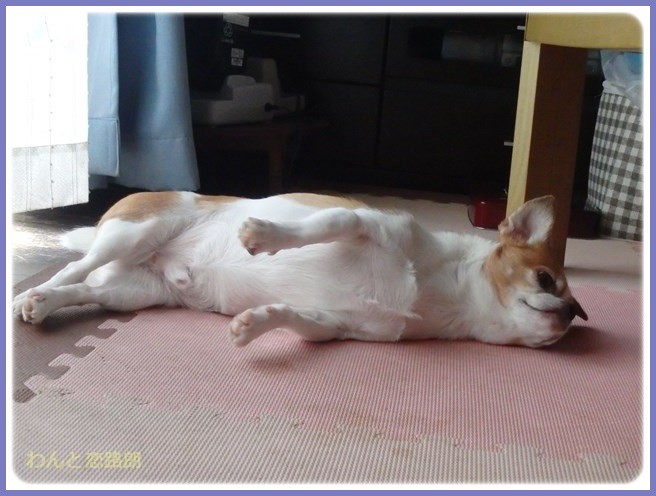 f:id:yasukazu01:20150830201327j:image