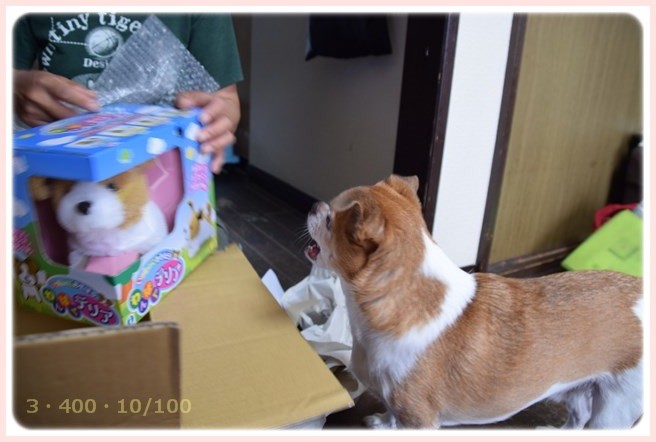 f:id:yasukazu01:20150901223155j:image