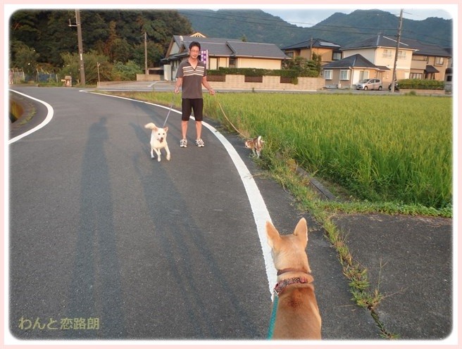 f:id:yasukazu01:20150904214231j:image