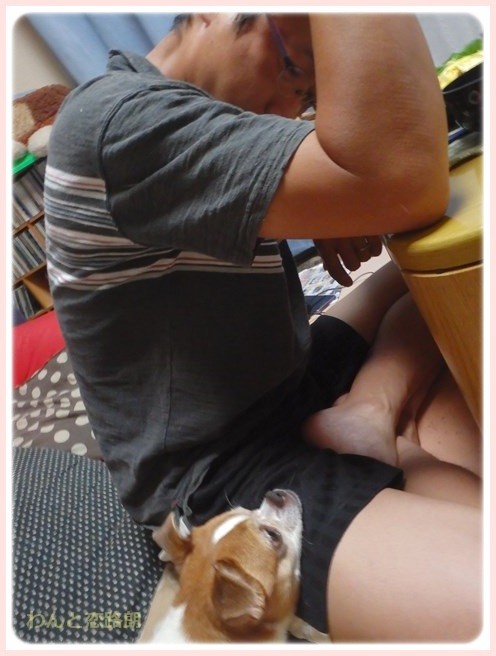 f:id:yasukazu01:20150904215413j:image