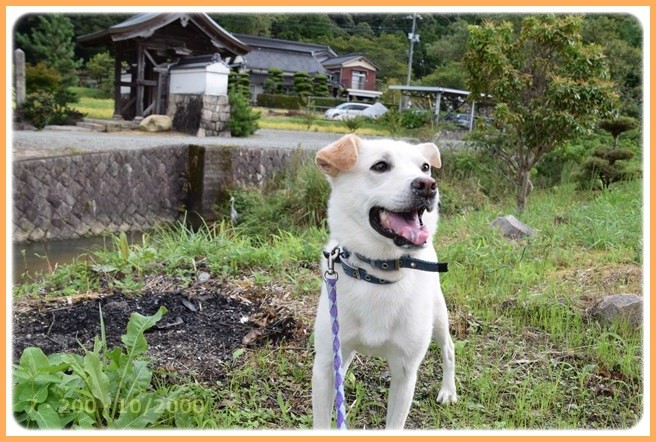f:id:yasukazu01:20150908141304j:image