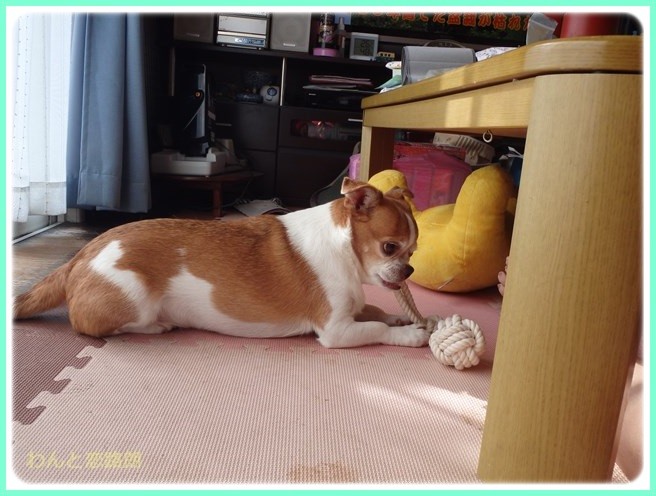 f:id:yasukazu01:20150928205706j:image