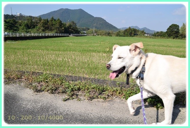 f:id:yasukazu01:20151004211253j:image
