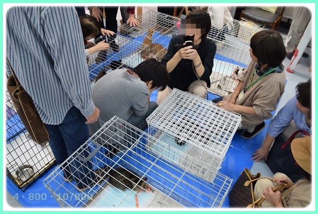 f:id:yasukazu01:20151005135425j:image