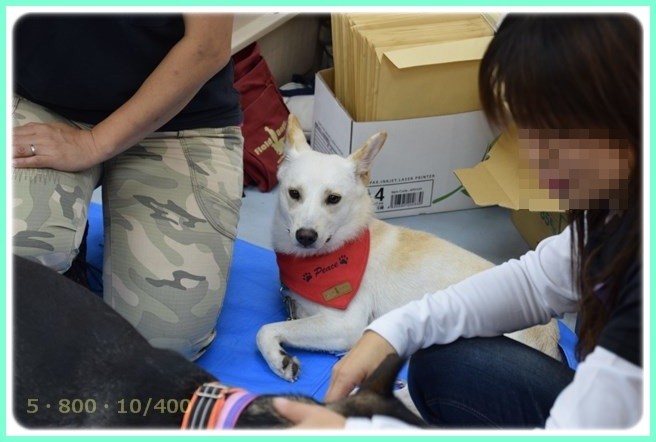 f:id:yasukazu01:20151005140203j:image