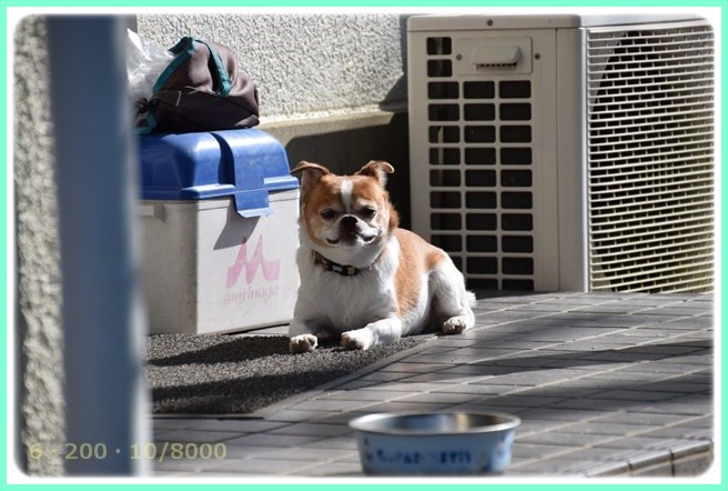 f:id:yasukazu01:20151005221311j:image