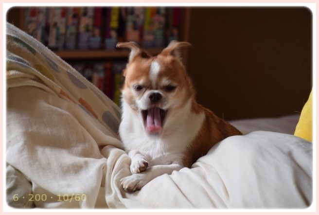 f:id:yasukazu01:20151023120329j:image f:id:yasukazu01:20151023120329j:image