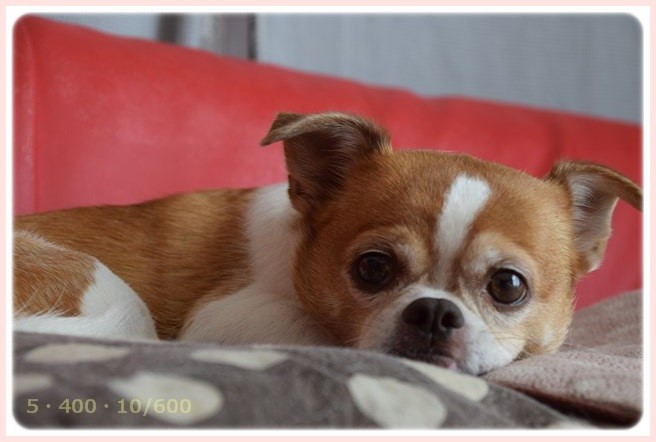 f:id:yasukazu01:20151024104253j:image